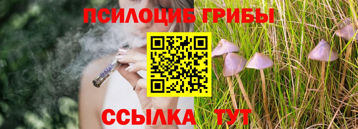 Псилоцибиновые грибы Cubensis  Псилоцибиновые грибы Magic Shrooms  Большой Камень  Вход с VPN 