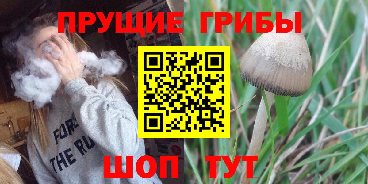 Галлюциногенные грибы прущие грибы Большой Камень